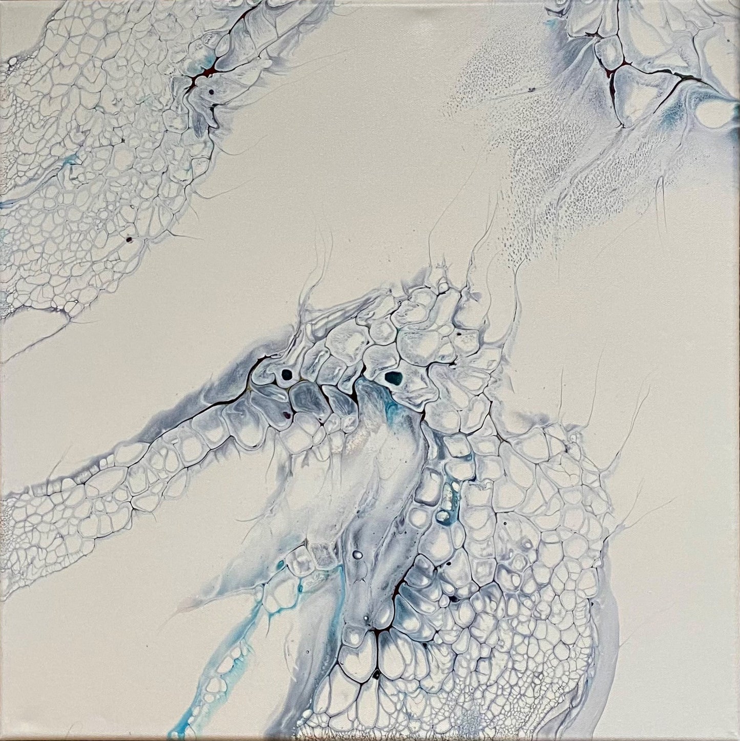 Sneskred 50 x 50 cm